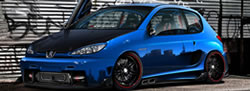 Peugeot Servisi